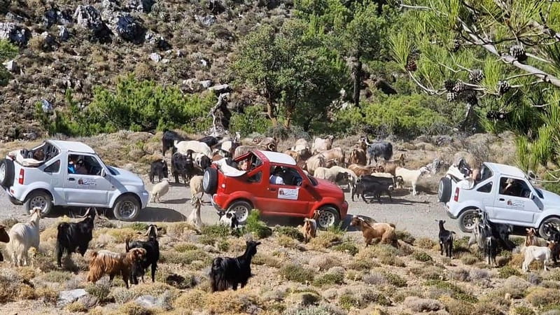 Jeep Driving Tour to Thripti Mountains and typical villages - Climbing toward Thripti and Afentis summit