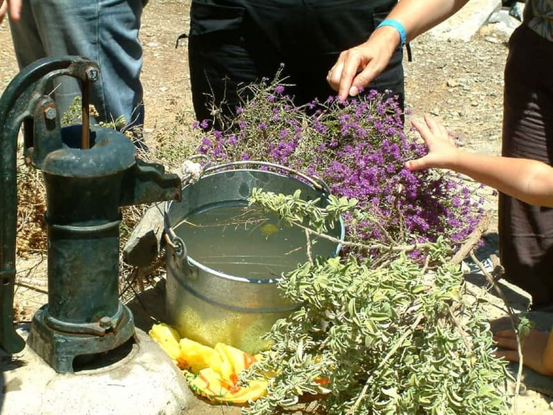 Jeep Driving Tour to Thripti Mountains and typical villages - Mochlos: lunch with time to slow down