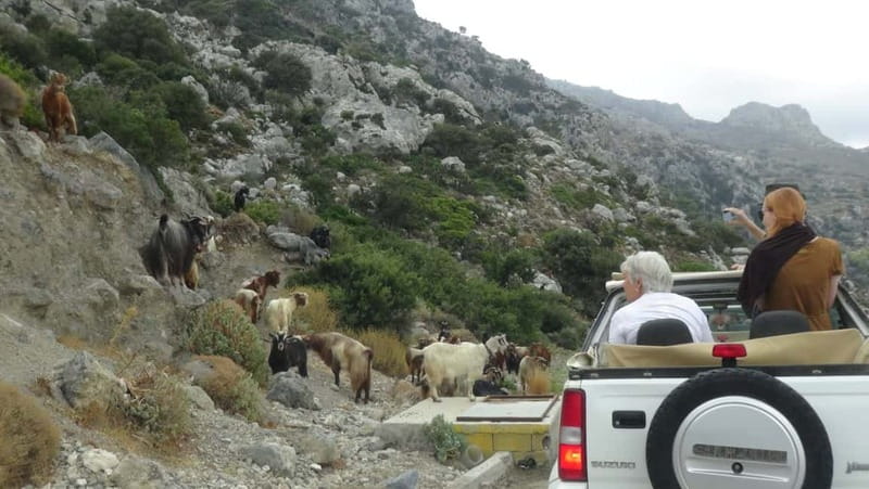 Jeep Driving Tour to Thripti Mountains and typical villages - Starting in Ierapetra with a simple safety briefing