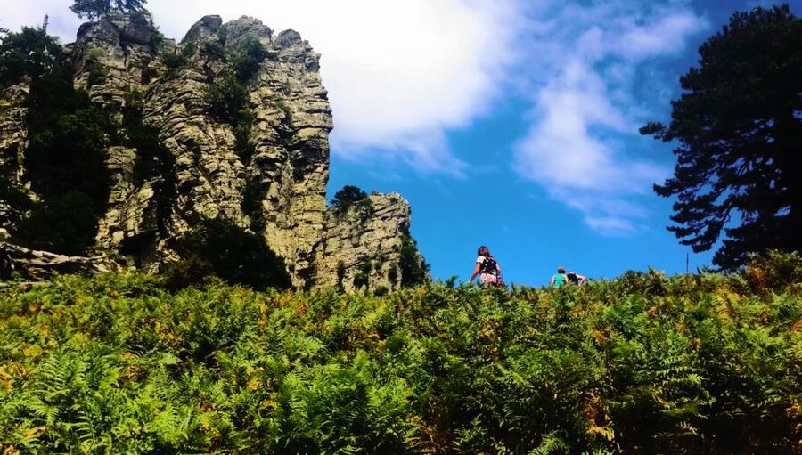 Jeep Safari in Thassos Mountain - Theologos and Thassos’s old stone houses