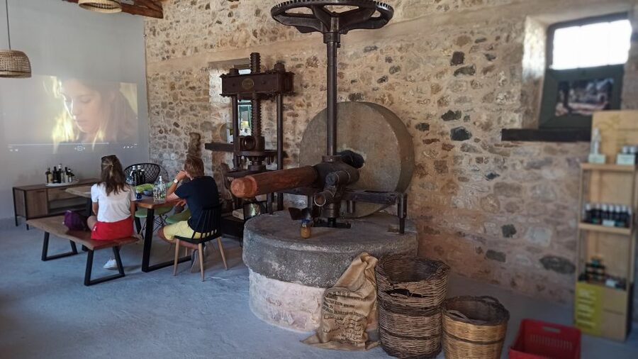 Kalamata: The Olive Oil Routes Tour - Practical details before you book