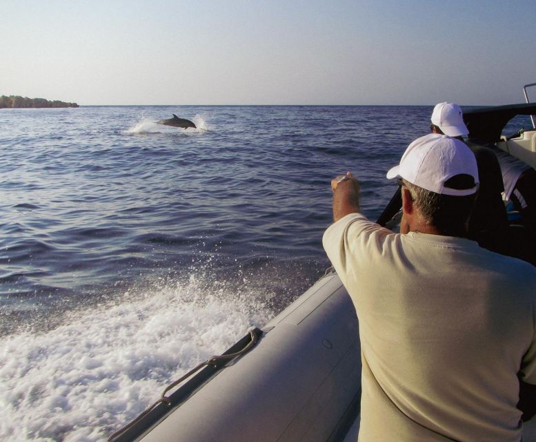 Kamiros Skala : Marine Life Experience & Alimia Island - Who will enjoy it most