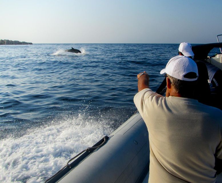 Kamiros Skala: Marine Life Experience by Boat - Why this three-hour cruise feels different