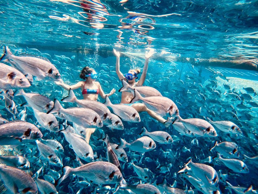Kamiros Skala: Marine Life Experience by Boat - From Rhodes hotels to Kamiros Skala