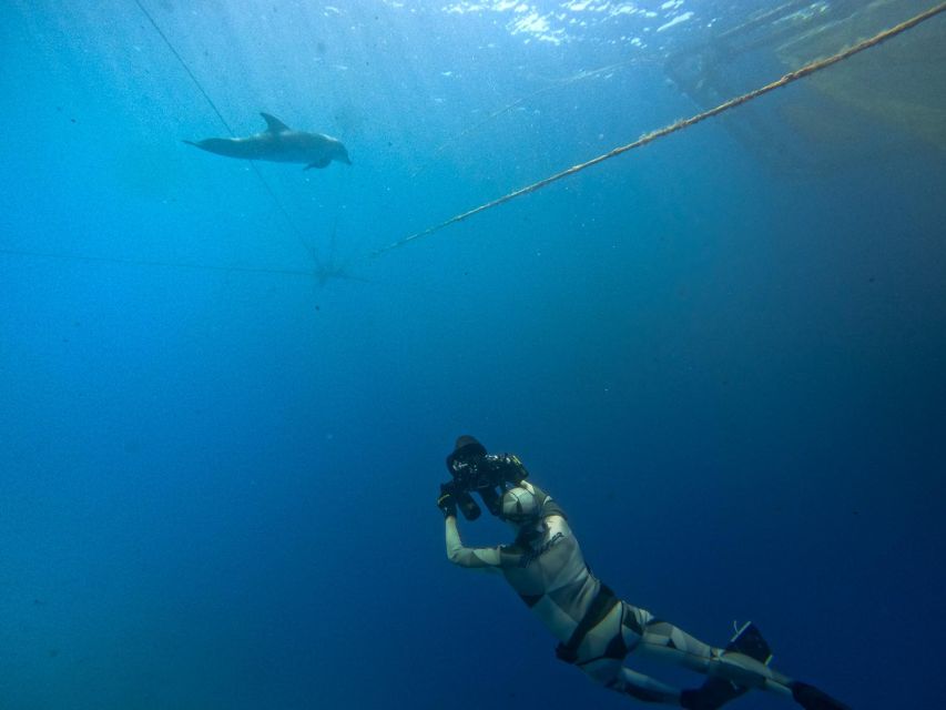 Kamiros Skala: Marine Life Experience by Boat - Snacks, photographs, and the ride back
