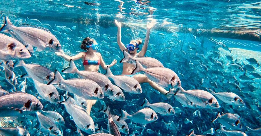 Kamiros Skala: Marine Life Experience by Boat - Is $106 a fair price?