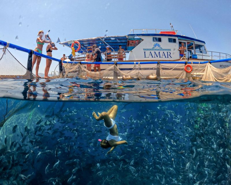Kamiros Skala: Marine Life Experience by Boat - FAQ