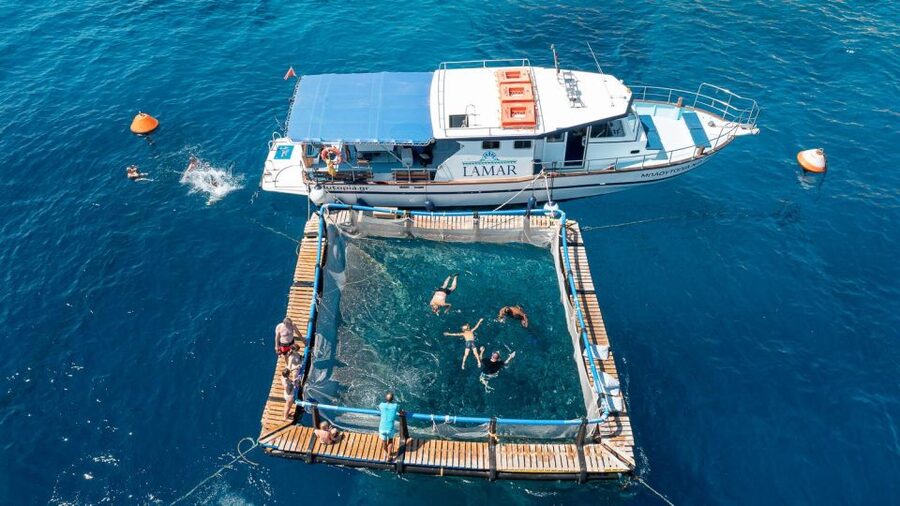 Kamiros Skala: Marine Life Experience by Boat - Makri Islet and the search for dolphins