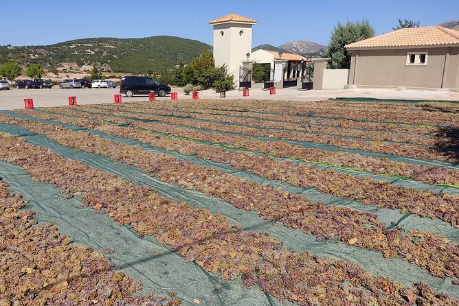 Kefalonia: Private Olive Oil, Honey & Wine Tasting Experience - Is the $90.11 price good value?