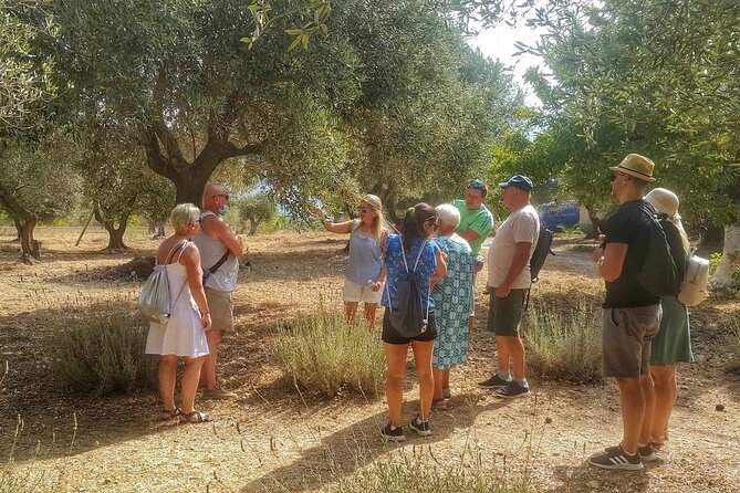 Kefalonia: Private Olive Oil, Honey & Wine Tasting Experience - Who should book this Kefalonia experience?