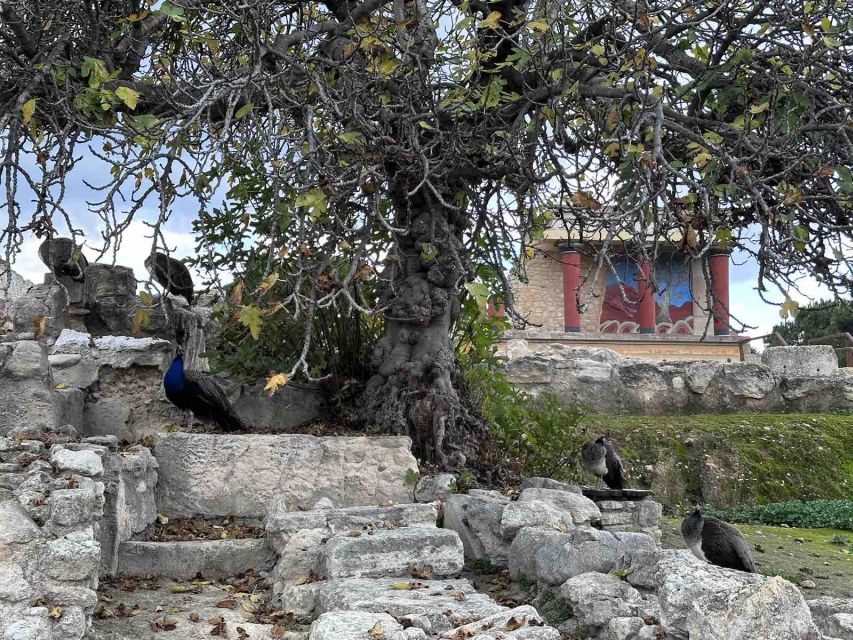 Knossos Palace Skip-the-Line Ticket & Private Guided Tour - Timing matters more than most people expect