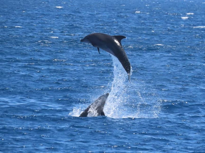 Kos: 3-Island Cruise with Lunch and Hotel Transfer - A full day across the Dodecanese