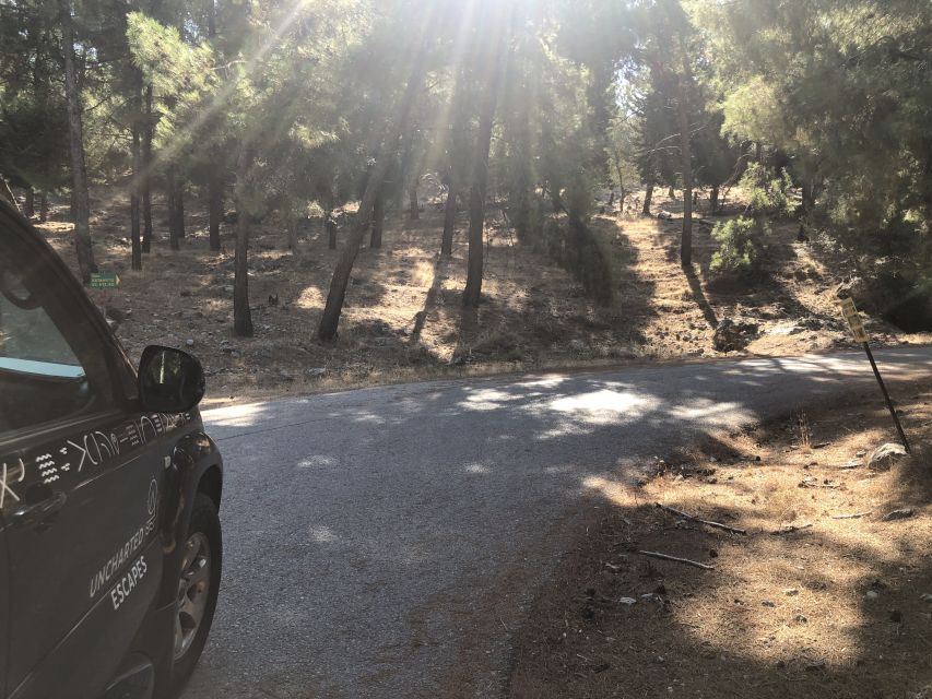 Kos 4x4 Sunset Safari Tour - Key points to know before booking