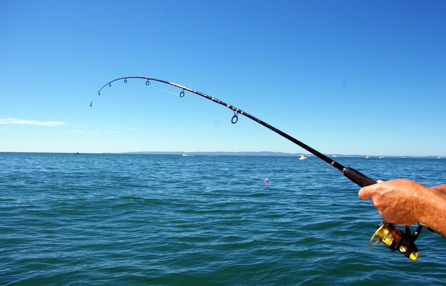 Kos: Fishing Trip Experience with a Greek Fisherman's Family - Following the southern coast of Kos