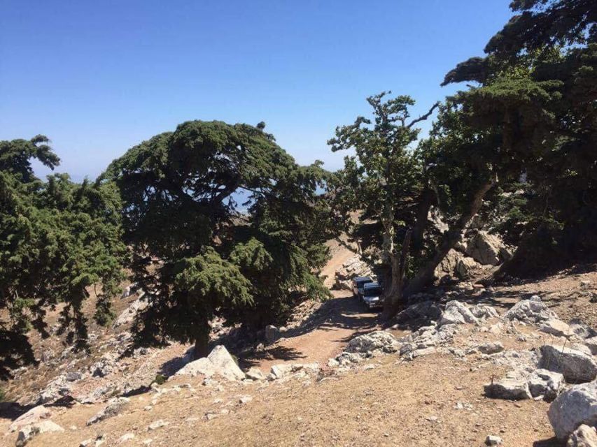 Kos: Full-Day Jeep Safari with Lunch - Key points to know before booking