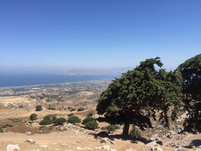 Kos: Full-Day Jeep Safari with Lunch - Turtle Lake and the quieter side of Kos