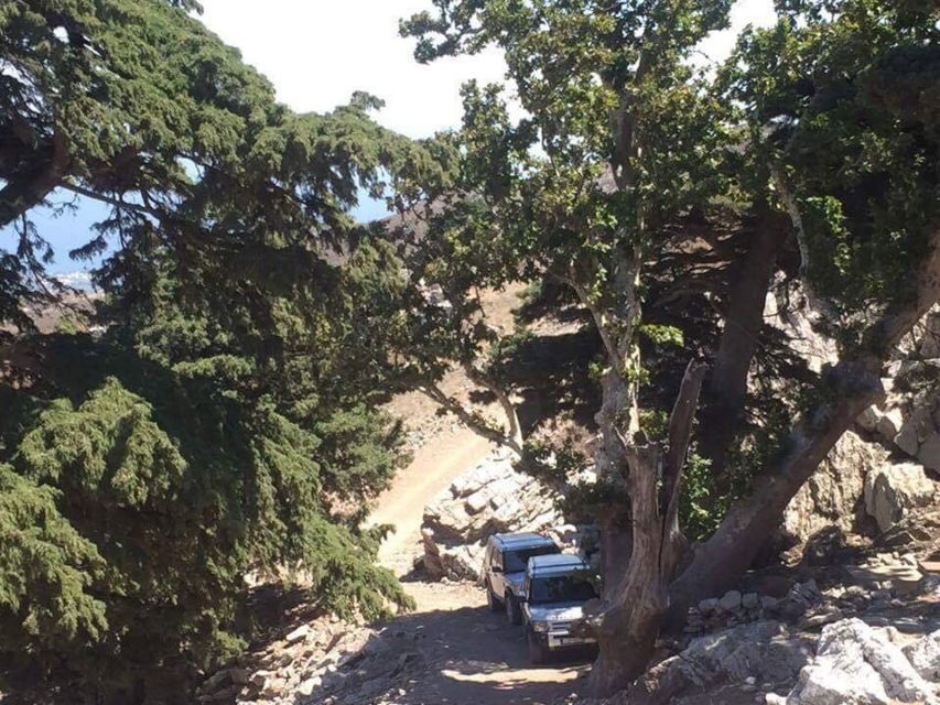 Kos: Full-Day Jeep Safari with Lunch - How to prepare for the Mount Dikaios roads