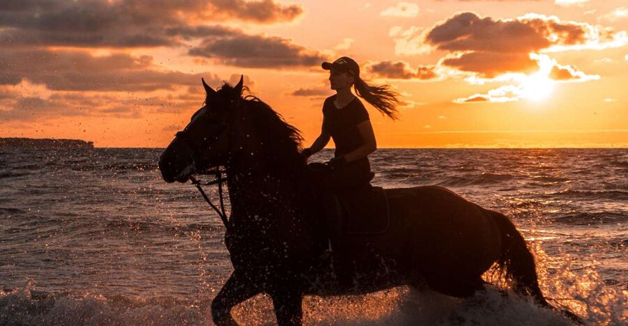 Kos: Horse Riding Experience on the Beach with Instructor - Key points before you saddle up