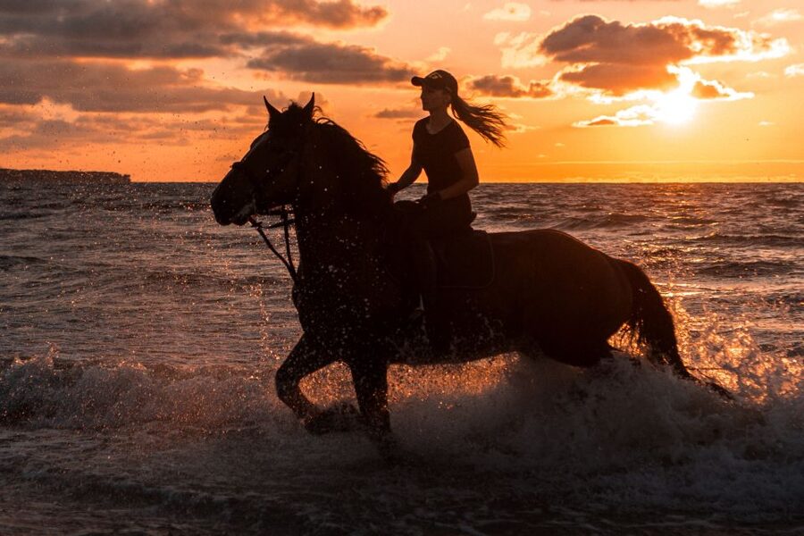 Kos: Horse Riding Experience on the Beach with Instructor - At the stable, your horse is matched to your experience