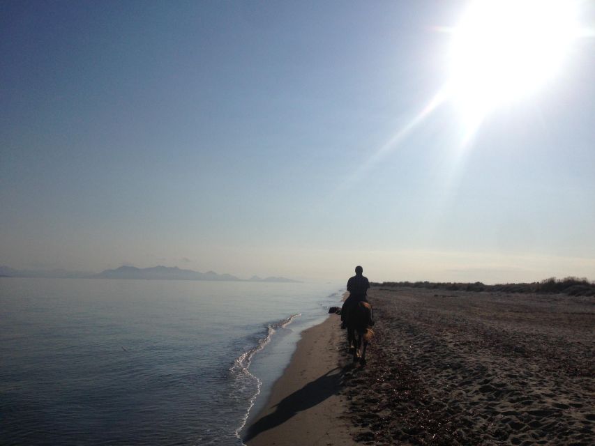 Kos: Horse Riding Experience on the Beach with Instructor - Riding the sandy beach and water’s edge