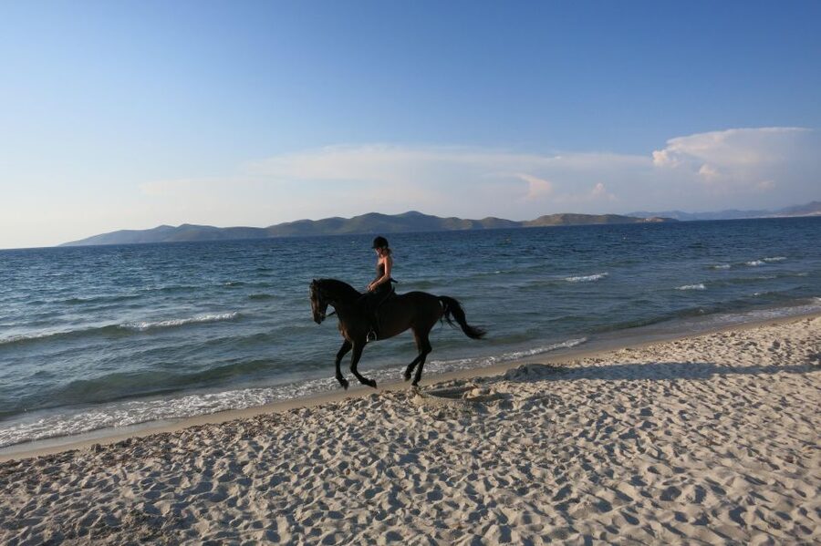 Kos: Horse Riding Experience on the Beach with Instructor - A planned photo stop by the Aegean