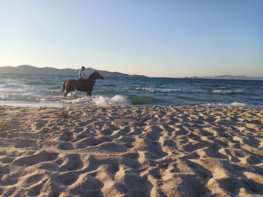 Kos: Horse Riding Experience on the Beach with Instructor - What the instructor adds to the experience