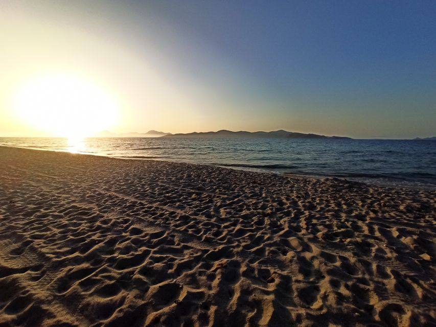 Kos: Horse Riding Experience on the Beach with Instructor - Pickup from Kos, Tigaki, Kardamena, and Mastichari