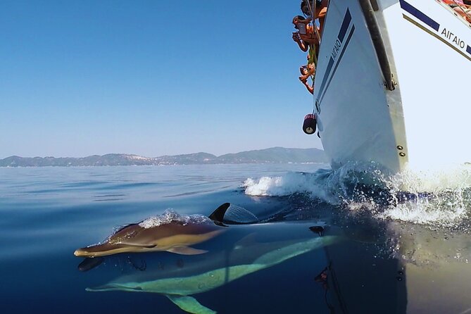 Kos: Small Group Full-Day Sailing with Meal, Drinks, & Swim - Practical details before you book