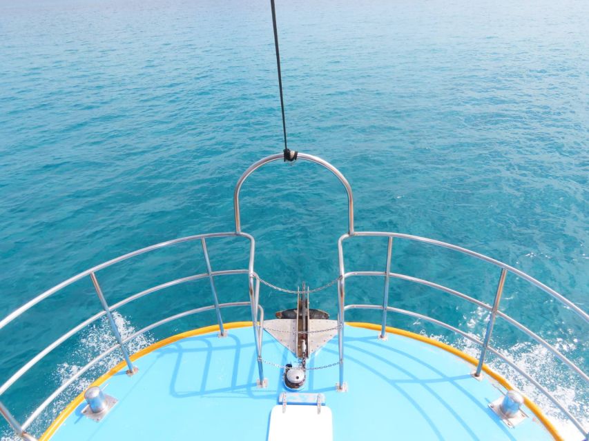 Kos Town: Glass-Bottom Boat Cruise with Swimming Stops - Should you book the Dorry Glass-Bottom Boat?