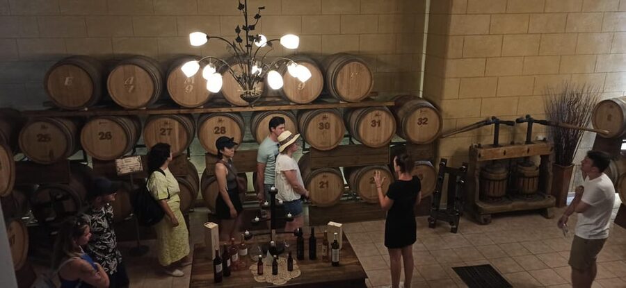 Kos: Wineries Tour w/ Wine Tastings & Transportation - Who should book this Kos winery visit?