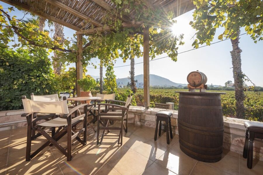 Kos: Wineries Tour w/ Wine Tastings & Transportation - Why this three-hour tour works