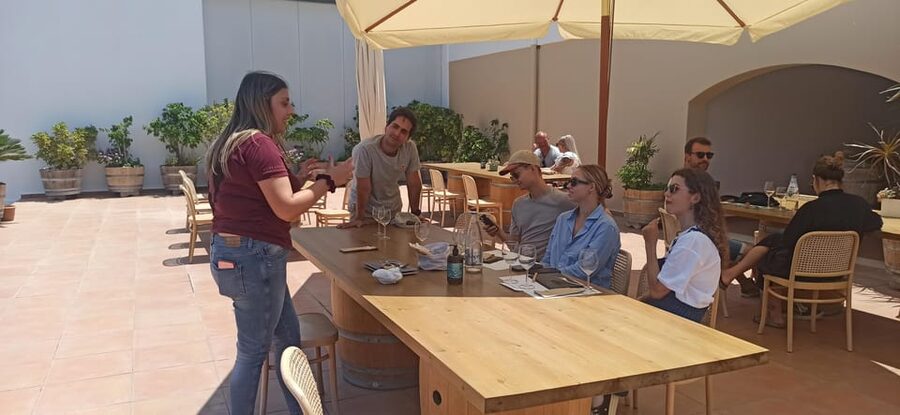 Kos: Wineries Tour w/ Wine Tastings & Transportation - What you actually taste