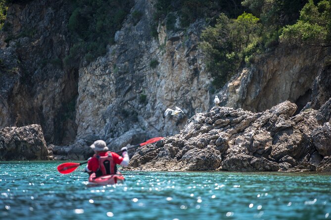 Lefkada Kayak : Explore Blue Cave with a Taste of Greece - Who should book this Lefkada outing?