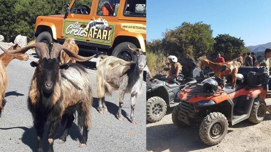 Malia: Off-Road Quad Safari Tour with Lunch and Transfers - Key points at a glance
