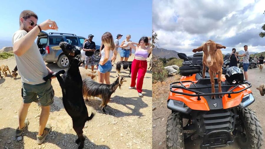 Malia: Off-Road Quad Safari Tour with Lunch and Transfers - Why this quad safari is different from a standard Crete excursion
