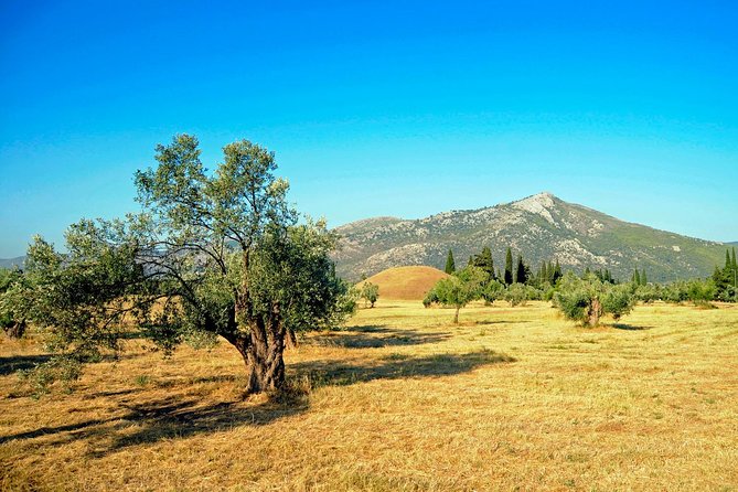 Marathon, Thermopylae, Thebes/Plataea, Herodotus Private Tour 10h - The long road to Thermopylae