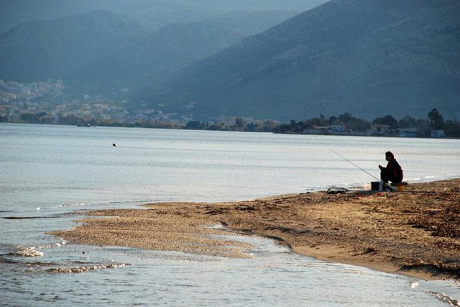 Marathon, Thermopylae, Thebes/Plataea, Herodotus Private Tour 10h - Thebes and Plataea, where the story continues