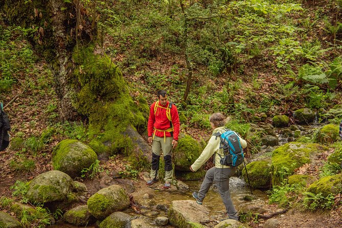 Meteora Small Group Hiking tour with Transfer and Monastery Visit - Price, transport, and overall value