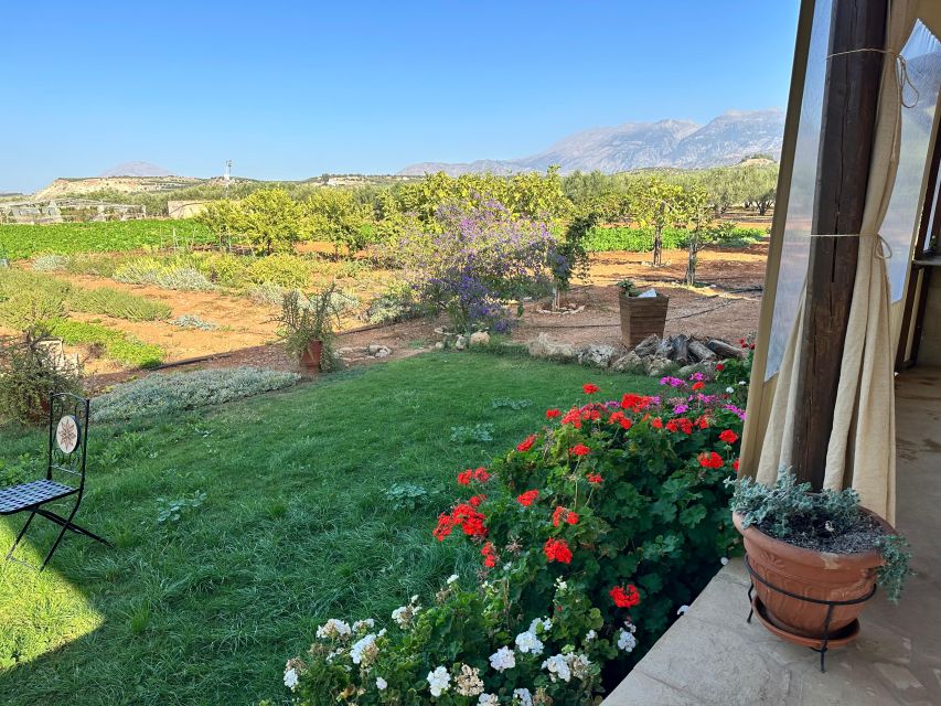 Moires: Cooking Class and Olive Oil Tasting at a Family Farm - Why the small group size matters