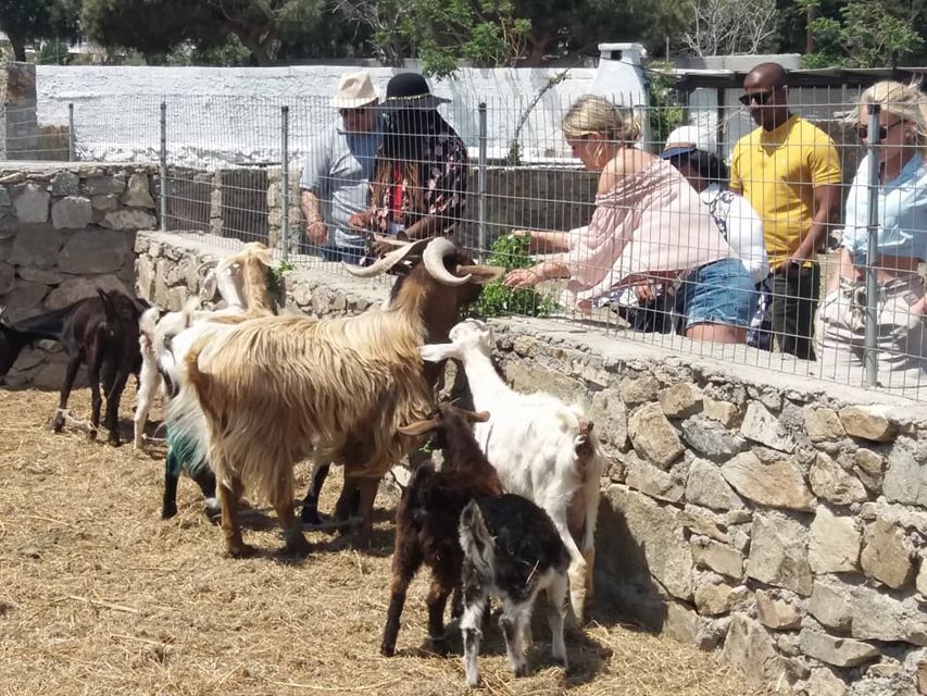 Mykonos: Full-Day Sightseeing Tour with Lunch - Kalo Livadi and Kalafati, with no swimming