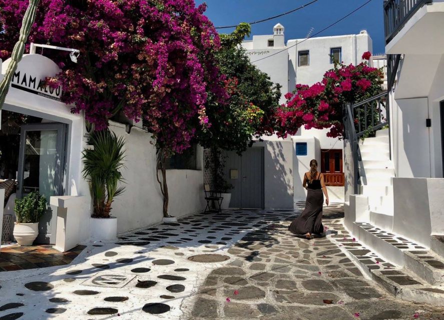 Mykonos: Full-Day Sightseeing Tour with Lunch - Is $141 a fair price?