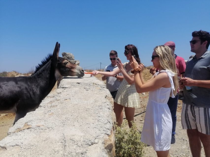 Mykonos: Highlights Tour with Panagia Tourliani Monastery - A smart half-day introduction to Mykonos
