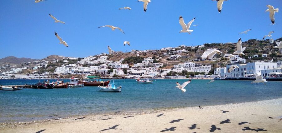 Mykonos: Highlights Tour with Panagia Tourliani Monastery - Pigeon houses, distant beaches, and the road to Ano Mera