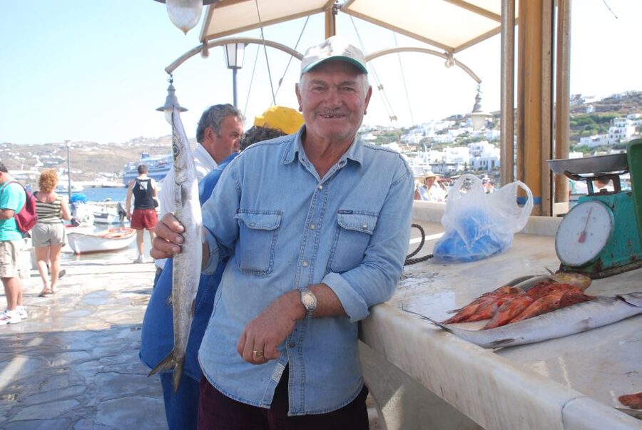Mykonos Shore Excursion: City & Island Tour - Should you book the City and Island Tour?