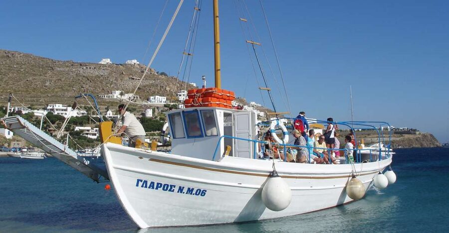 Mykonos: South Coast Cruise - What the guide adds