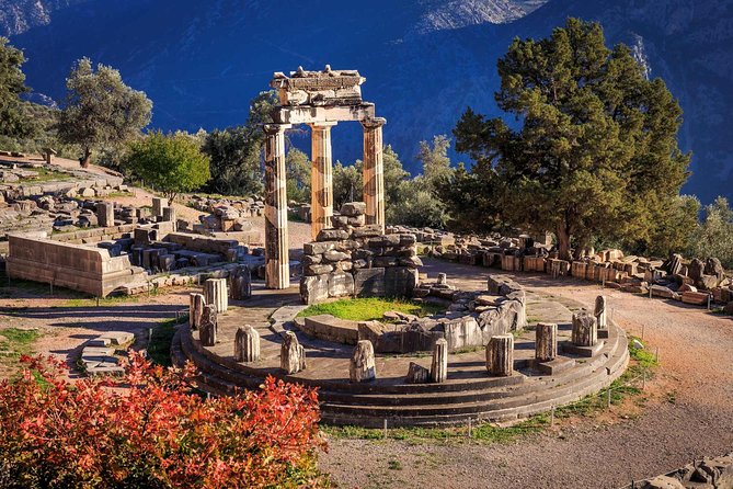 Mystical Delphi & Famous Oracle Full Day Private Tour from Athens - Lunch above the olive groves