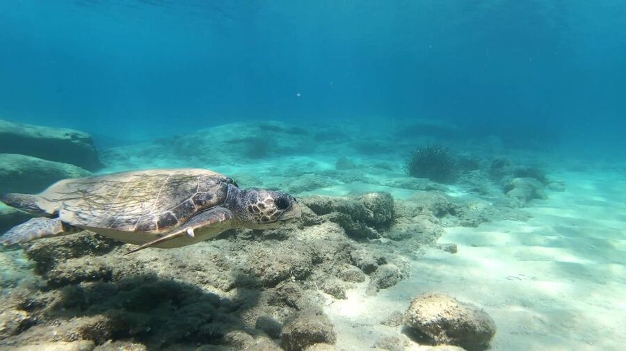 Naxos: Discover Scuba Diving - Your first experience diving - The instructors make or break a first attempt