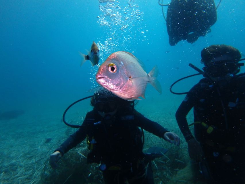 Naxos: Discover Scuba Diving - Your first experience diving - Your first 35 minutes: equipment, breathing, and simple skills