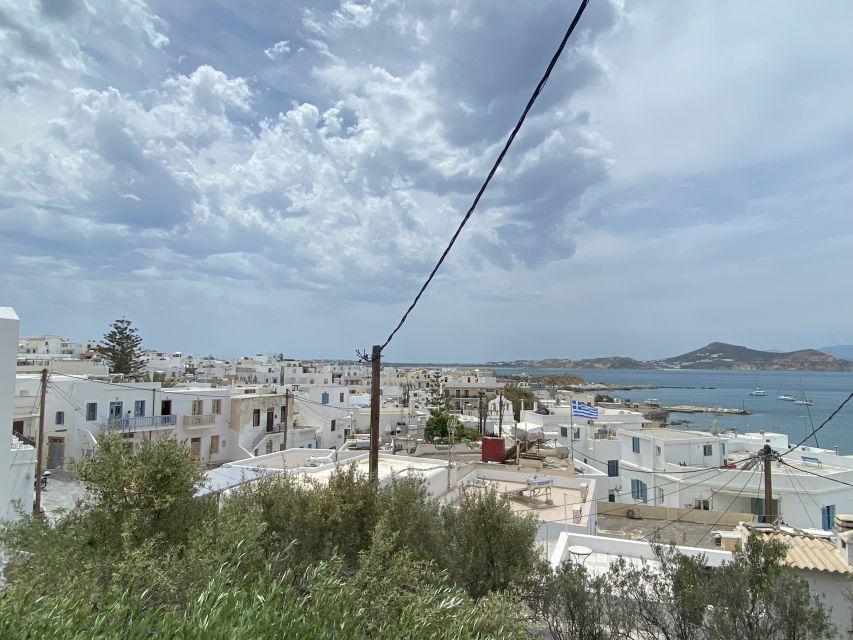 Naxos: Food Walking Tour & Cooking Class with Meal & Drinks - Shopping through the local market
