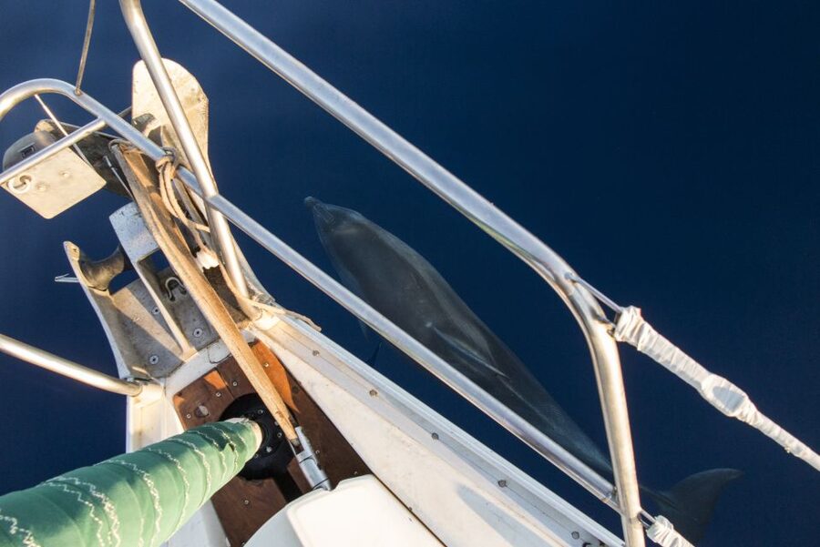 Naxos: Full-Day Small Cyclades Sailing Cruise - Who should book this Naxos sailing cruise?
